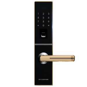 Khoá điện tử Dessmann G811-II