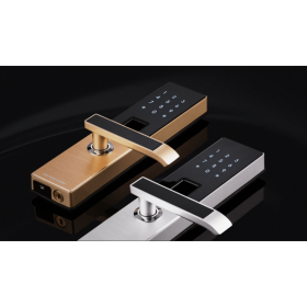 Mở cửa không tiếng động với công nghệ đỉnh cao của khóa cửa vân tay